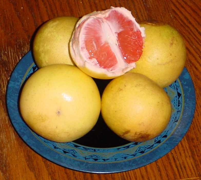 Photo by Starhawk - All Rights Reserved